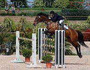 DE RISIO IRWIN CampITA2013- S5 0245 : Campionati Italiani 2013, Cattolica, DE RISIO DANIELA, E.H. IRWIN LIZZY, Horse Riviera Resort, foto di Stefano Secchi ©